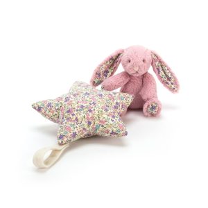 Blossom Tulip Bunny Star Musical Pull