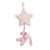 Blossom Tulip Bunny Star Musical Pull